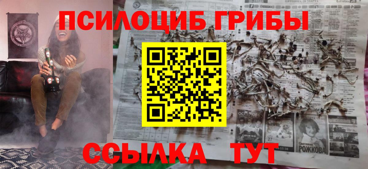 Псилоцибиновые грибы мухоморы  Псилоцибиновые грибы Cubensis  Заинск  Вход с VPN 